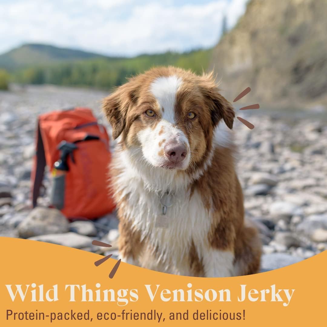 OTIS Venison Jerky for Dogs | Protein Packed, Pasture-Raised, Grass-Fed Venison Jerky Dog Treats Healthy Dog Treats - Wild Things | 4 Ounce Bag : Pet Supplies