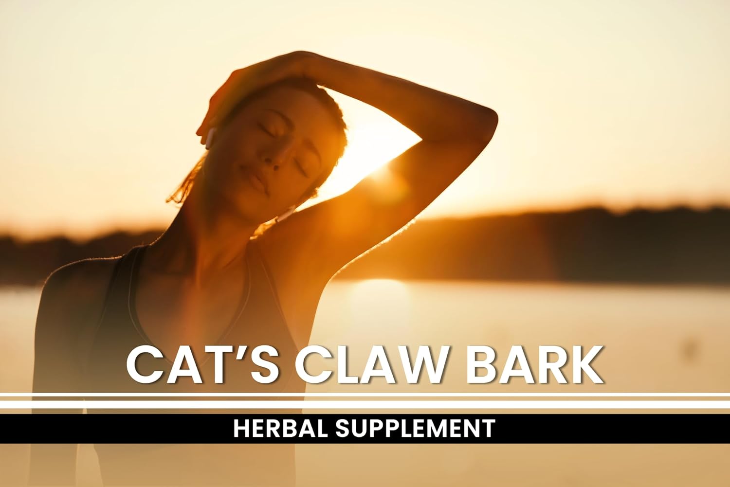 Pure Original Ingredients Cat's Claw Bark (365 Capsules) No Magnesium Or Rice Fillers, Always Pure, Lab Verified : Health & Household