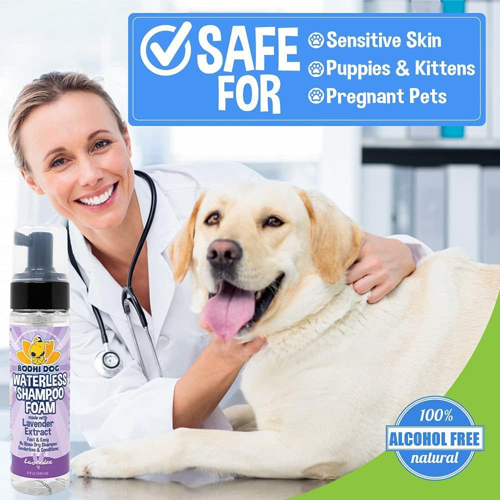 Bodhi Dog Waterless Foaming Shampoo | Natural Pet Shampoo for Dogs & Cats | Waterless Dry Shampoo for Bathless Cleaning | No Rinse Required | Made in USA (Lavender, 8oz)