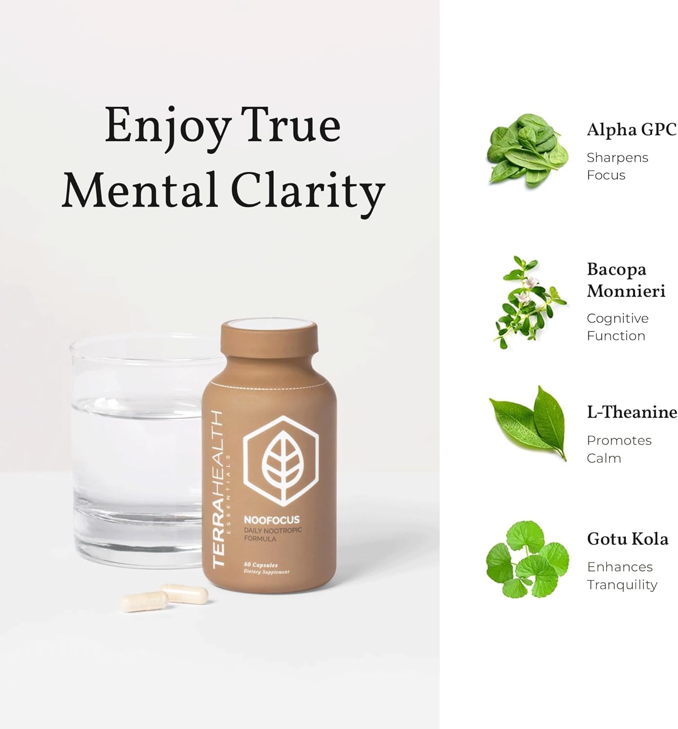 Buy Terra Health Essentials Noofocus - Nootropics Brain Support Supplement With Adaptogenic Mushrooms, Alpha-Gpc, Gotu Kola, L-Theanine For Focus & Memory - All Natural, 30 Day Supply On  Free Shipping On Qualified Orders