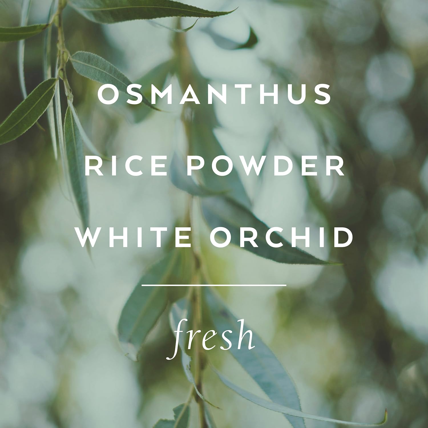 Library Of Flowers Forget Me Not Eau De Parfum, 1.69 Fl. Oz. – Osmanthus, Rice Powder & White Orchid – Women’S Perfume, Eau De Parfum Spray For Women, Perfume For Women : Fragrance Of Forget Me Not : Beauty & Personal Care