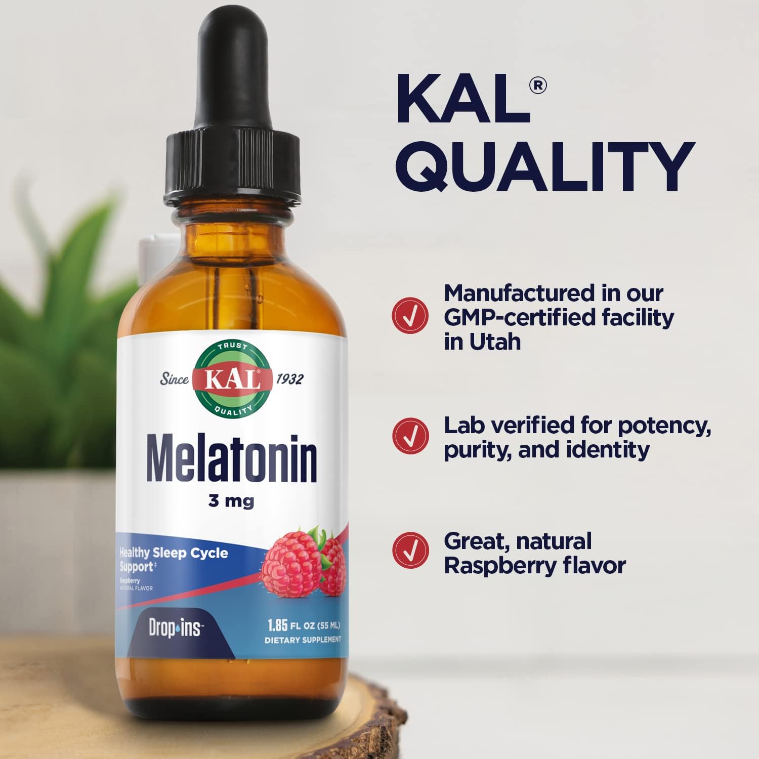 KAL Melatonin DropIns 3mg, Healthy Sleep Aid Support, Liquid Melatonin Drops for Optimal Absorption & Calming Relaxation Support, Fast Acting, Natural Raspberry Flavor, Approx. 55 Servings, 1.85oz : Health & Household