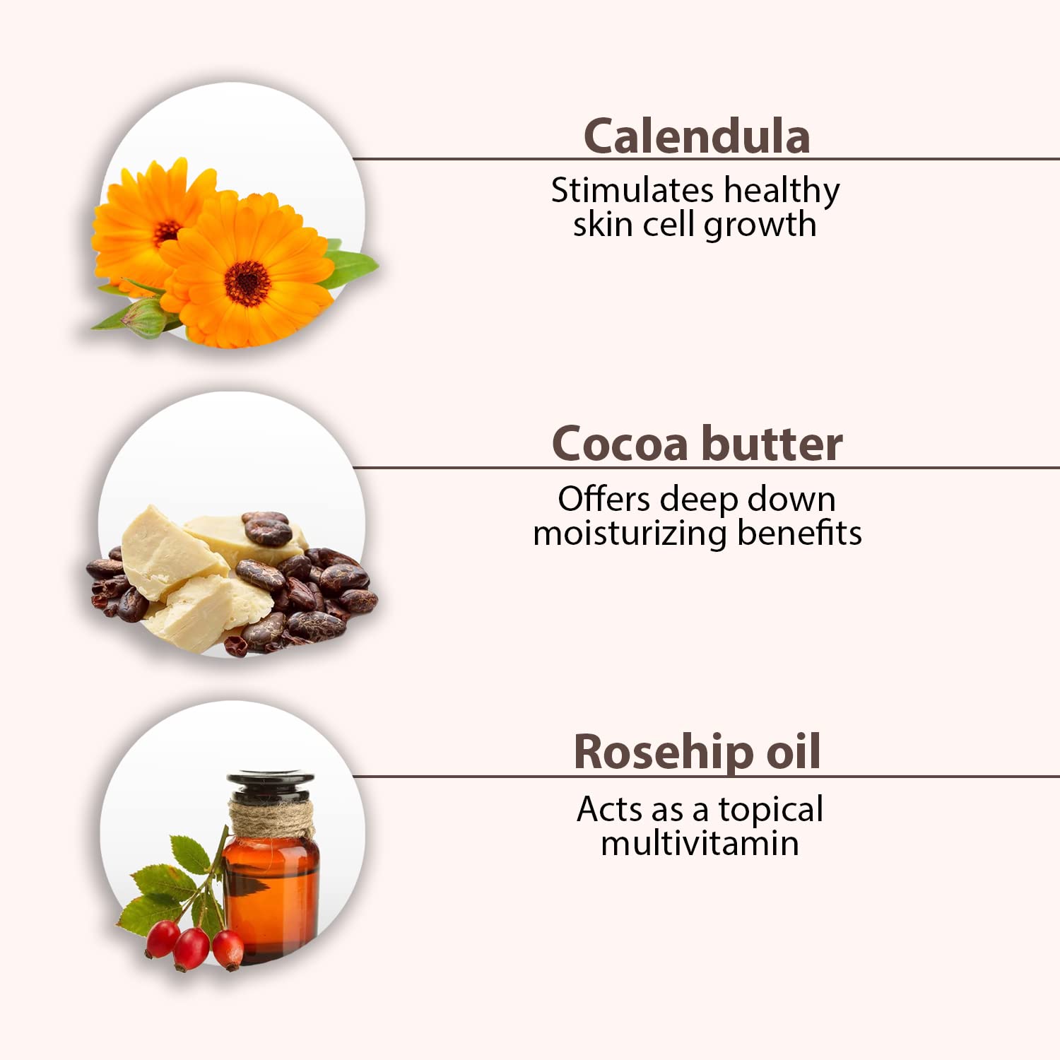 All Good Hand & Body Lotion W/Essential Oils - Moisturizing Organic Lotion W/Calendula, Cocoa Butter, Coconut & Rose Hip Oil - Non Gmo - Vegan - 6 Oz (Coconut) : Beauty & Personal Care