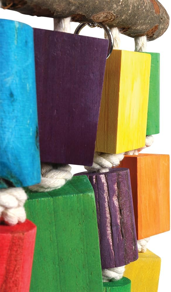 Northern Parrots Big Beaks Blocks & Knots Large :Pet Supplies