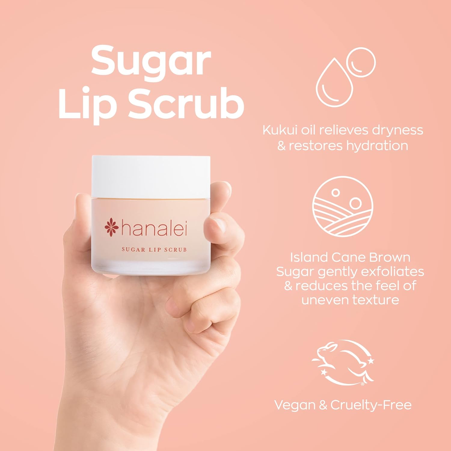 Hanalei Sugar Lip Scrub AND Kukui Oil Lip Treatment 15g Clear AND 5-Piece Tropical Lip Balm Set | Made with Hawaiian Botanicals | Cruelty-Free and Paraben-Free : Beauty & Personal Care