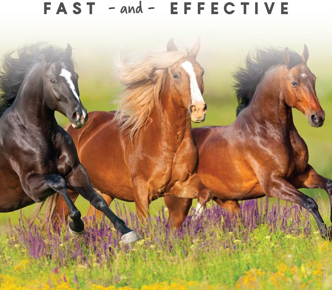 Manna Pro Rapid Flex - Fast Acting Joint Supplement for Horses - Clinically Proven Unique Patented Formula - 4 Pounds : Pet Supplies