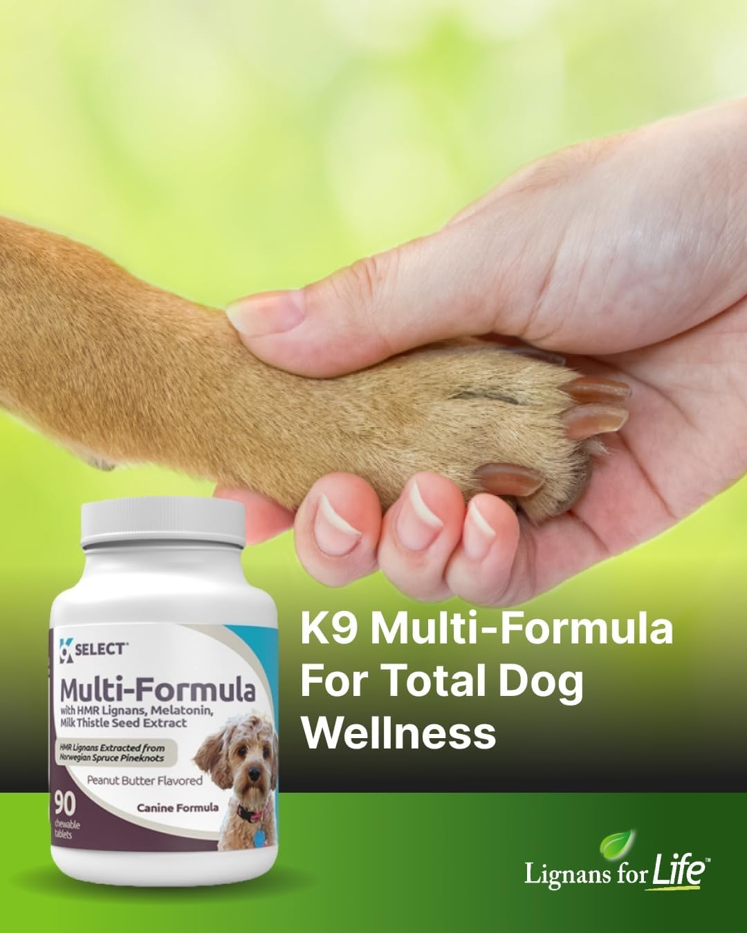 K9 Select Multi-Formula Dog Supplement for Smaller Dogs - 10mg HMR Lignans, 1mg Melatonin, 20mg Milk Thistle - Helps Heart, Liver, Digestion, Skin & Coat Health, 90 Peanut Butter Chewable Tabs : Pet Supplies