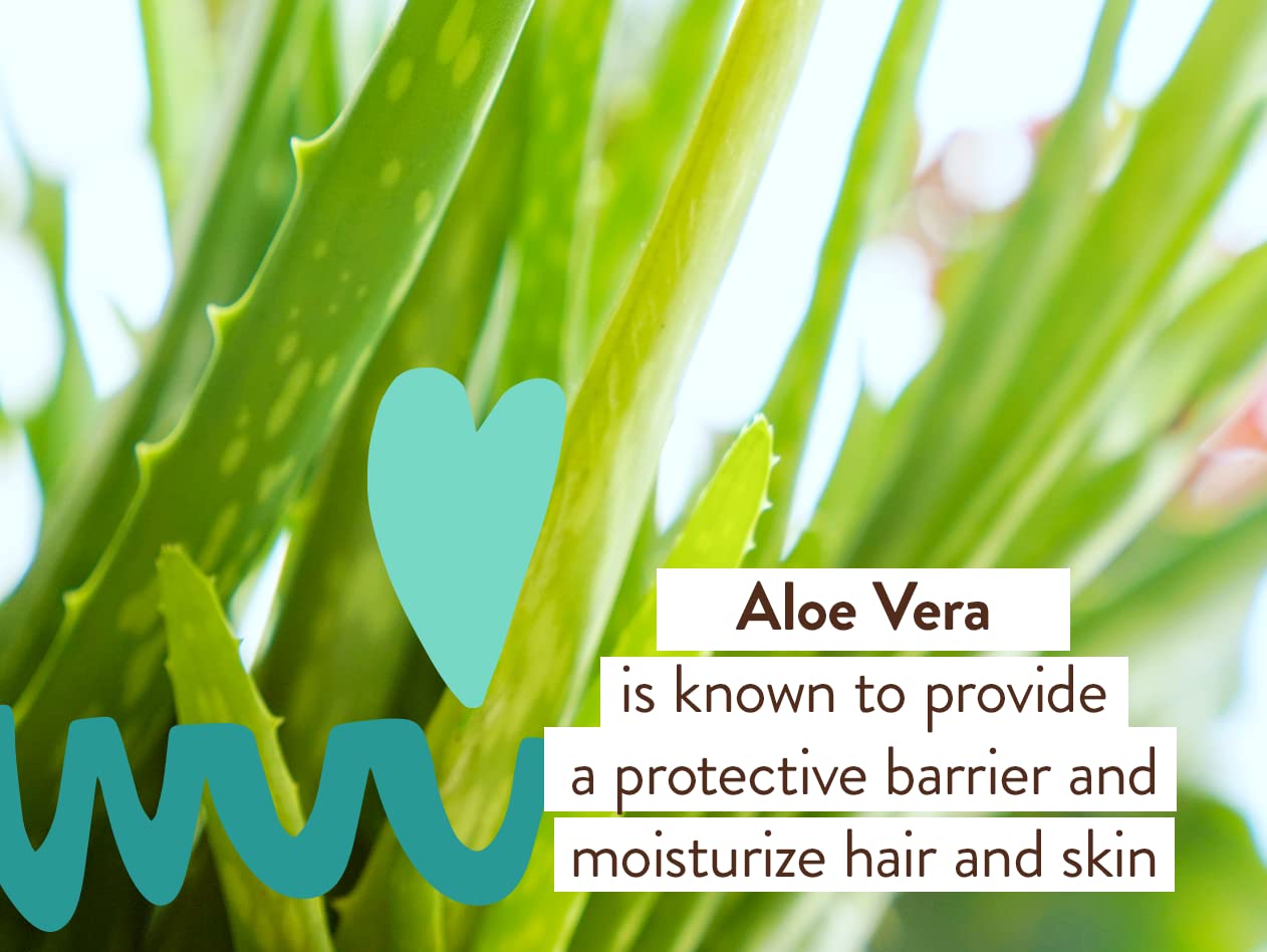 Babo Botanicals Eucalyptus Remedy Shampoo & Wash - Invigorating Eucalyptus & Rosemary Essential Oils -For all Ages - EWG Verified - Vegan - Cruelty Free : Beauty & Personal Care