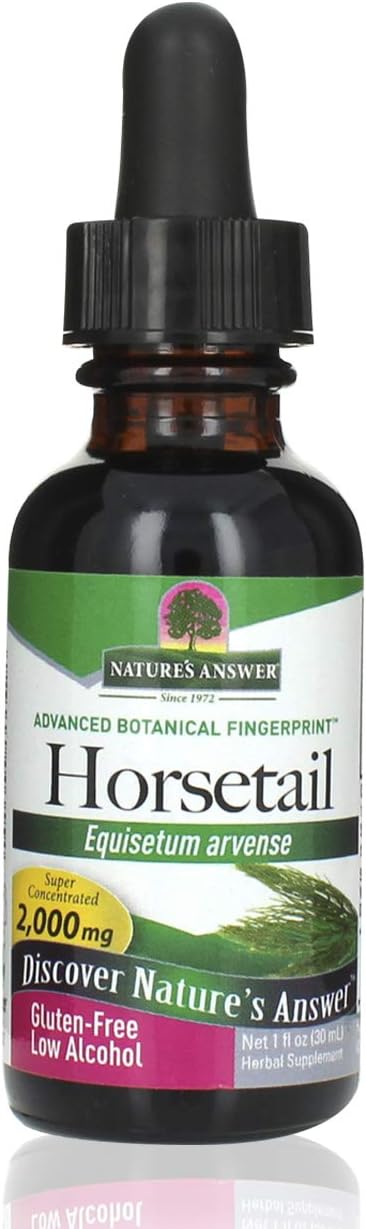 Natures Answer Horsetail Herb With Low Organic Alcohol 1   | Hair, Skin, & Nails Support | Promotes Urinary Tract Health | Strengthen Joints