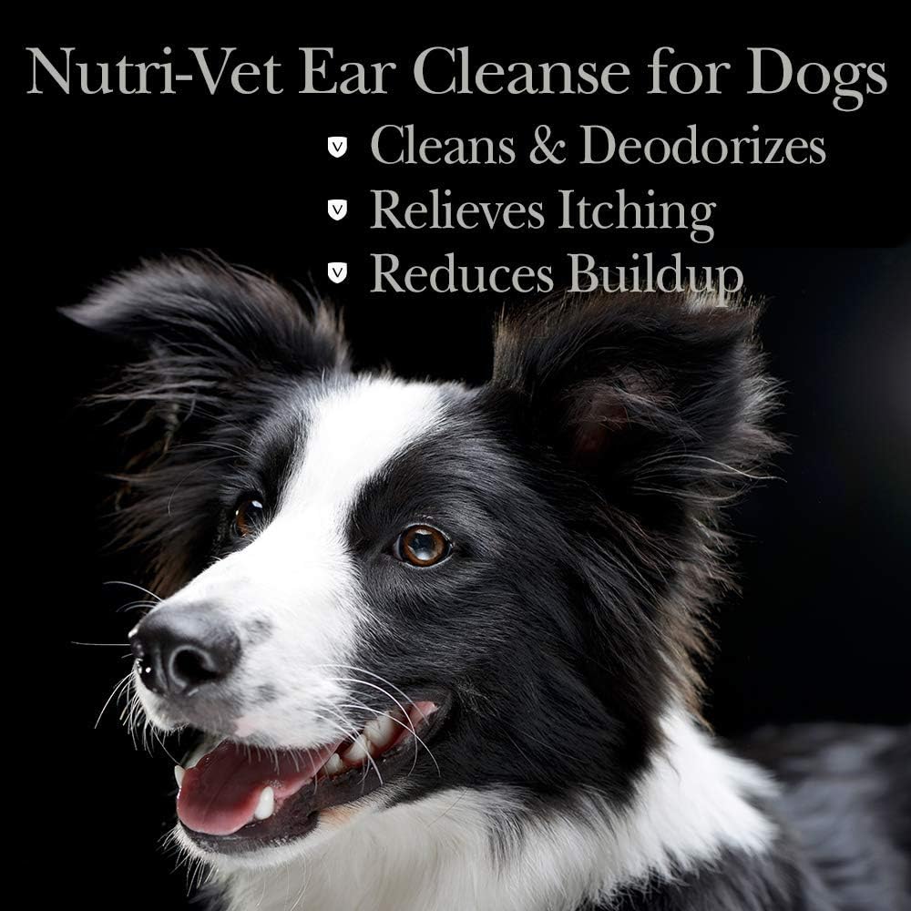 Nutri-Vet Ear Cleanse for Dogs - Ear Cleaner & Deodorizer - 8 oz, White, 8-oz bottle : Pet Supplies