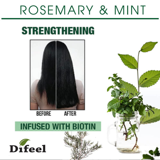 Difeel Rosemary & Mint Biotin Haircare Collection - Shampoo+ Conditioner + Hair Mask (12Oz Each), 2.5Oz Root Stimulator & 7.1Oz Oil