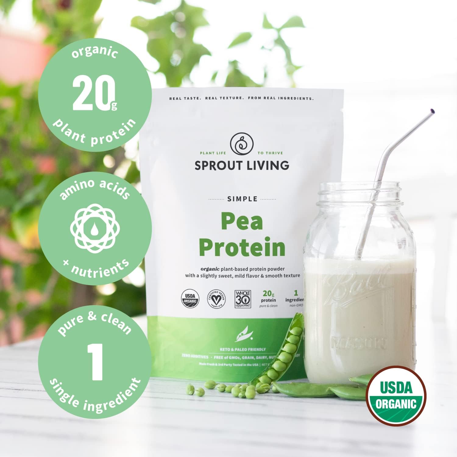 Sprout Living Organic Pea Protein Powder, 20 Grams of Plant Based Organic Protein Powder without Artificial Sweeteners, Non Dairy, Non-GMO, Dairy Free, Vegan, Gluten Free, Keto Drink Mix (2 Pound) : Health & Household