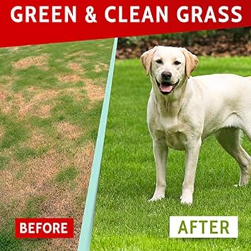Green Lawn Chews for Dogs - Green Grass Chews - Urine Neutralizer Grass Burn Spots - Lawn Burn from Dog Urine - Probiotics & Enzymes - Made in USA - Bacon Flavor - 120 Lawn Saver Chews