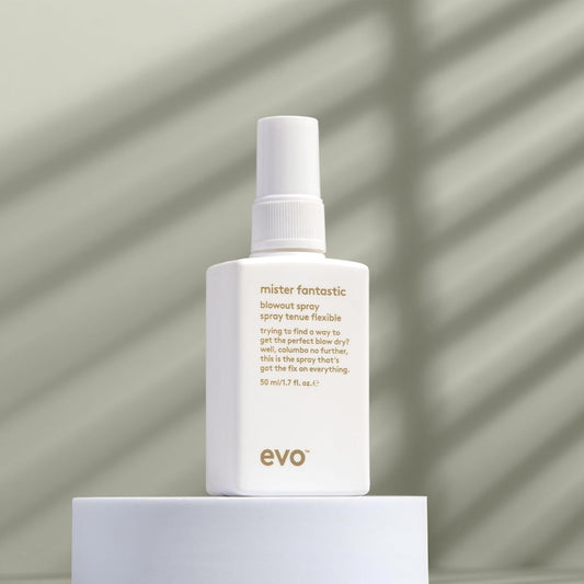 Evo Mister Fantastic Blowout Spray - Improves Style, Builds Body & Reduces Blow-Drying Time - Heat Protection Styling Spray