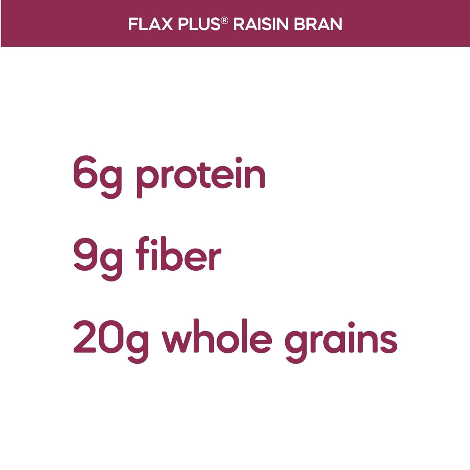 Nature's Path Organic Flax Plus Raisin Bran Cereal, Non-GMO, 20g Whole Grains, with Omega-3 Rich Flax Seeds, 14 Ounce - Pack of 4: Breakfast Cereals