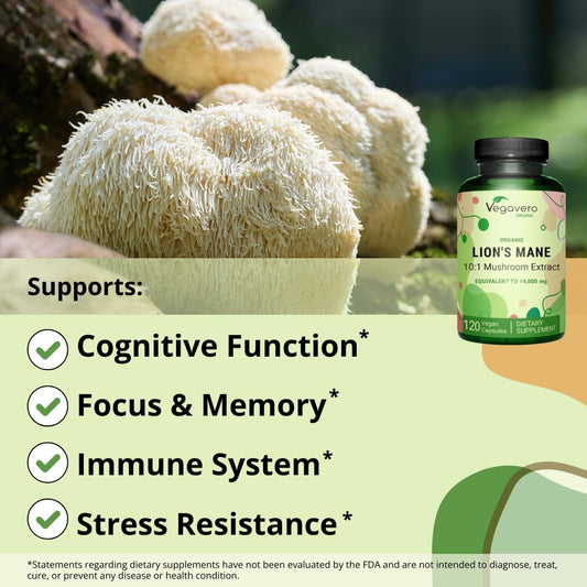 Organic Lion'S Mane Supplement | 14,000Mg (10:1 Extract) | 30% Beta Glucan | Usda Certified & No Additive