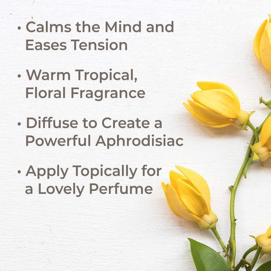 Plant Therapy Ylang Ylang Extra Essential Oil 10 Ml (1/3 Oz) 100% Pure, Undiluted, Therapeutic Grade