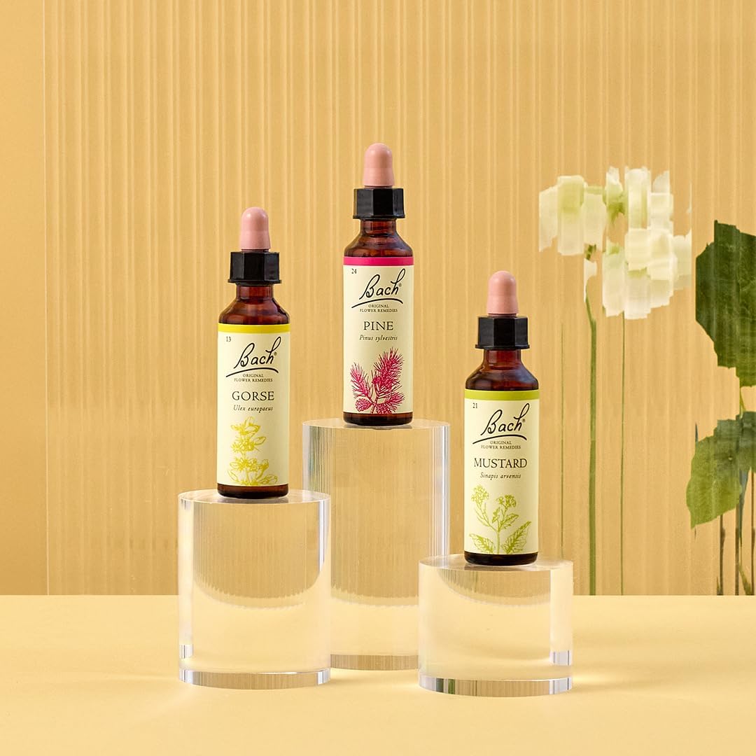 Bach Original Flower Remedies (Gorse) Know Your Own Mind, Remain Hopeful, Emotional Wellness, Natural Flower Essence, 20ml : Amazon.co.uk: Health & Personal Care