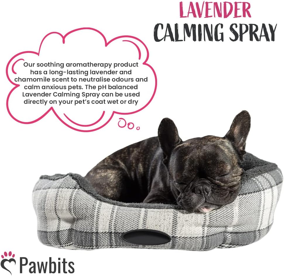 Lavender Calming Spray for Stressed and Anxious Dogs 250ml - Dog-Friendly Cologne to Neutralise Odours and Calm Anxious Pets :Pet Supplies