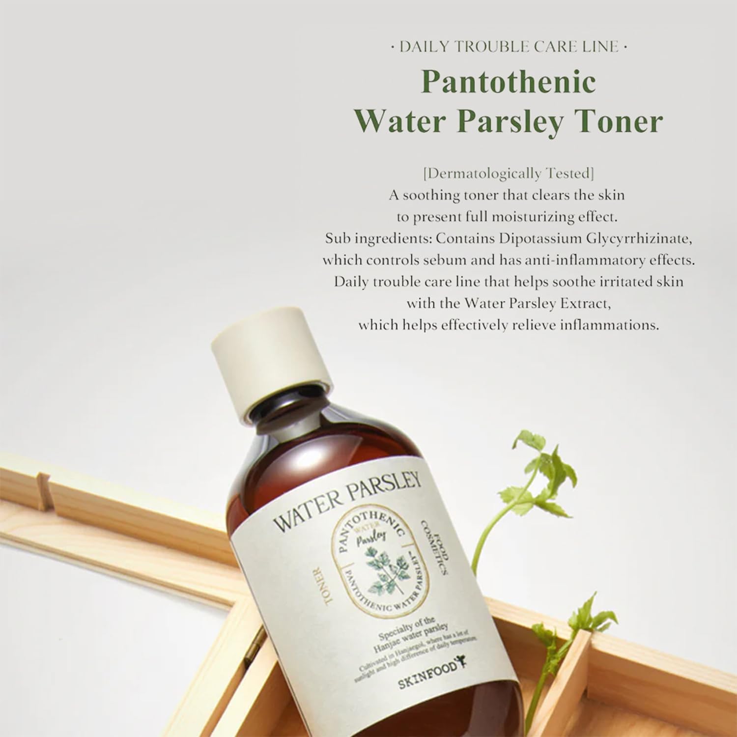 SKINFOOD Pantothenic Water Parsley Toner, 3.8 fl.oz (115ml), AC/Blemish Prone Skin Toner, Sebum & Oil & Pore Care, Low PH Skincare : Beauty & Personal Care