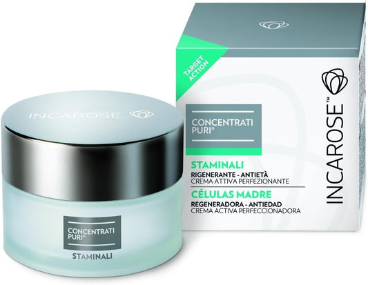INCAROSE Pure Solutions Stem Cells Rejuvenating-Anti-Ageing Face Cream : Amazon.co.uk: Beauty