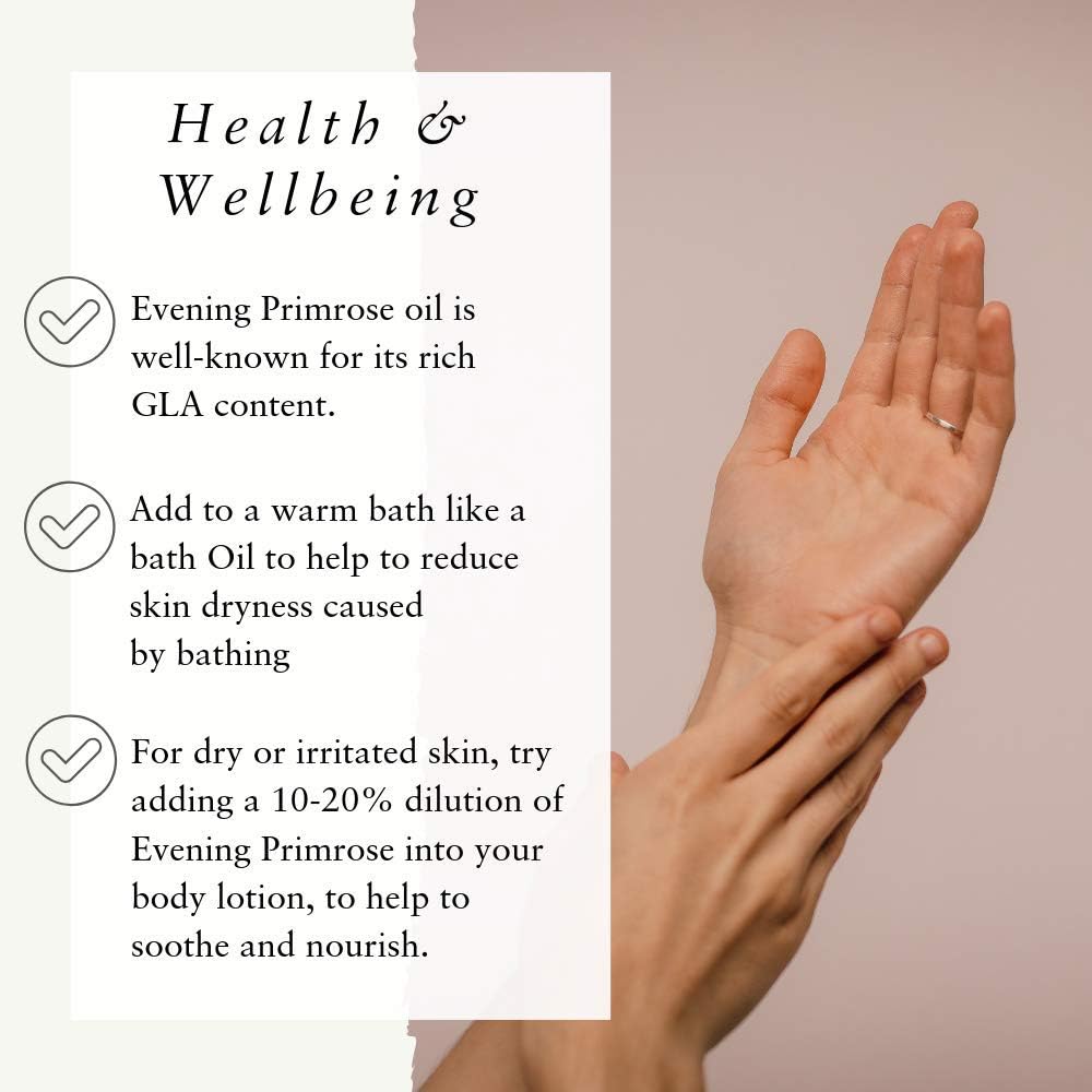 Absolute Aromas Evening Primrose (Oenothera Biennis) Oil 50ml - Pure, Natural, Cold-Pressed, GMO-Free Vegan and Cruelty Free – Moisturising Carrier Oil for Body and Facial Massage. : Amazon.co.uk: Health & Personal Care