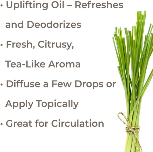 Plant Therapy Lemongrass Essential Oil 100% Pure, Undiluted, Natural Aromatherapy, Therapeutic Grade 100 Ml (3.3 Oz)