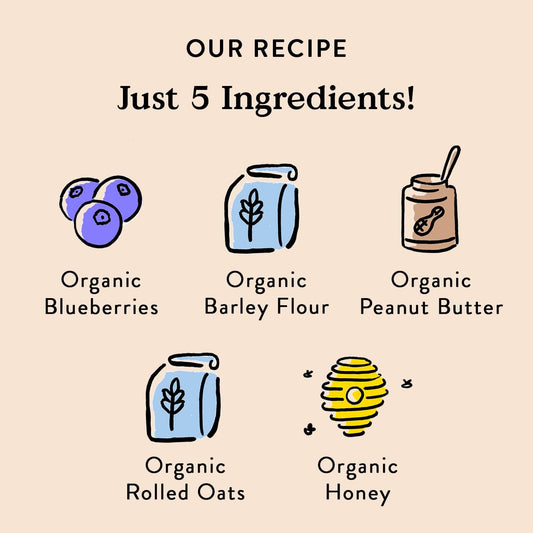Bocce'S Bakery All-Natural, Small Batch, Organic Dog Treats, Wild 'Berry Biscotti Biscuits, Wheat-Free, Limited-Ingredient, Made In The Usa With 100% Recyclable Packaging, 12 Oz Bag (Dg-Bc-Wbb)