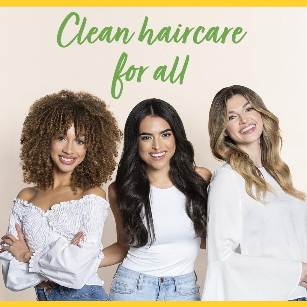 Chi Shinecare Smoothing Shampoo, Transforms Dull Hair Adding Instant Shine And Hydration, Sulfate, Paraben, & Cruelty-Free, 12 Oz : Beauty & Personal Care