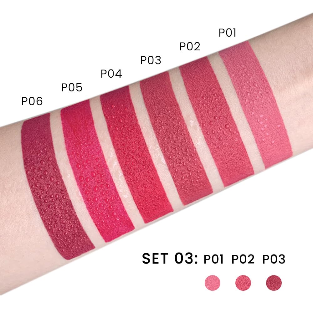 3 Pcs Matte Velvet Lipstick For Women Set,Nude Long Lasting Matte Lip Stick 24H Waterproof For Girls Natural Lip Makeup,Matte Non-Stick Lipstick Makeup For Women,Labiales Magicos 24 Horas Originales