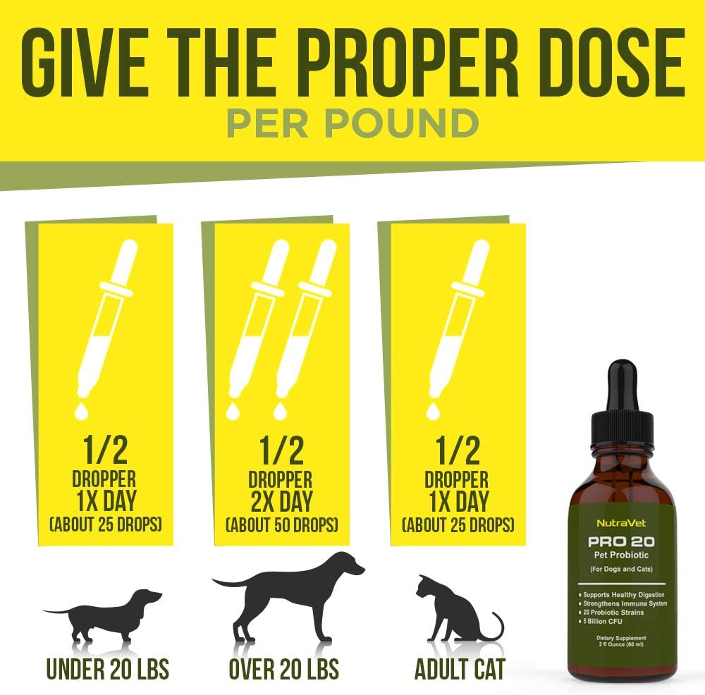 Probiotics for Dogs and Cat Probiotics - 120 Servings (1/2ml). 100% Natural Digestive Enzymes for Gas Relief and Healthy Digestion. Prebiotics via Liquid Vitamins for Constipation & Leaky Gut : Pet Supplies
