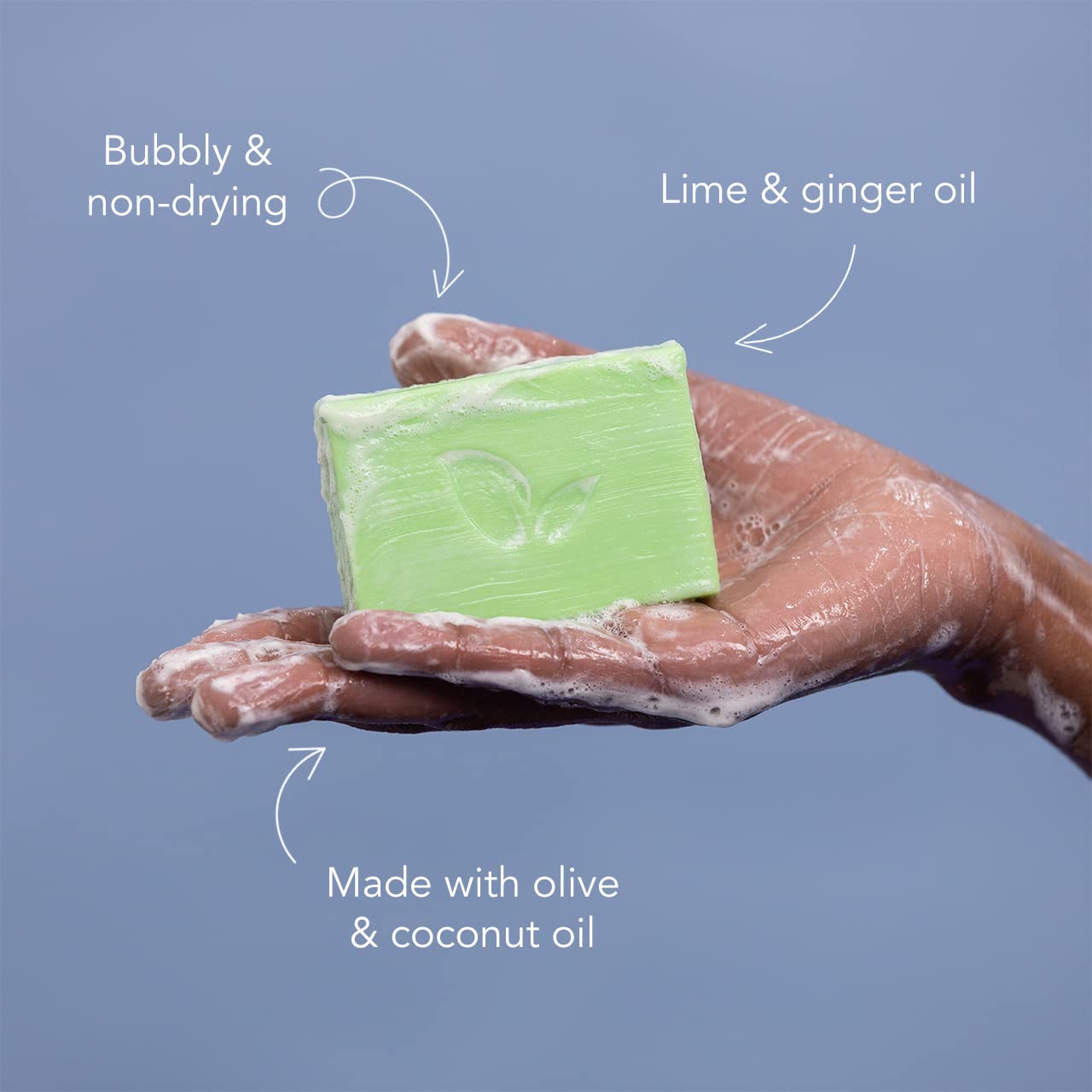 Ethique Zesty Lime & Ginger Soap Bar - Body Wash for All Skin Types - Plastic-Free, Vegan, Cruelty-Free, Eco-Friendly, 4.23 oz (Pack of 1) : Beauty & Personal Care