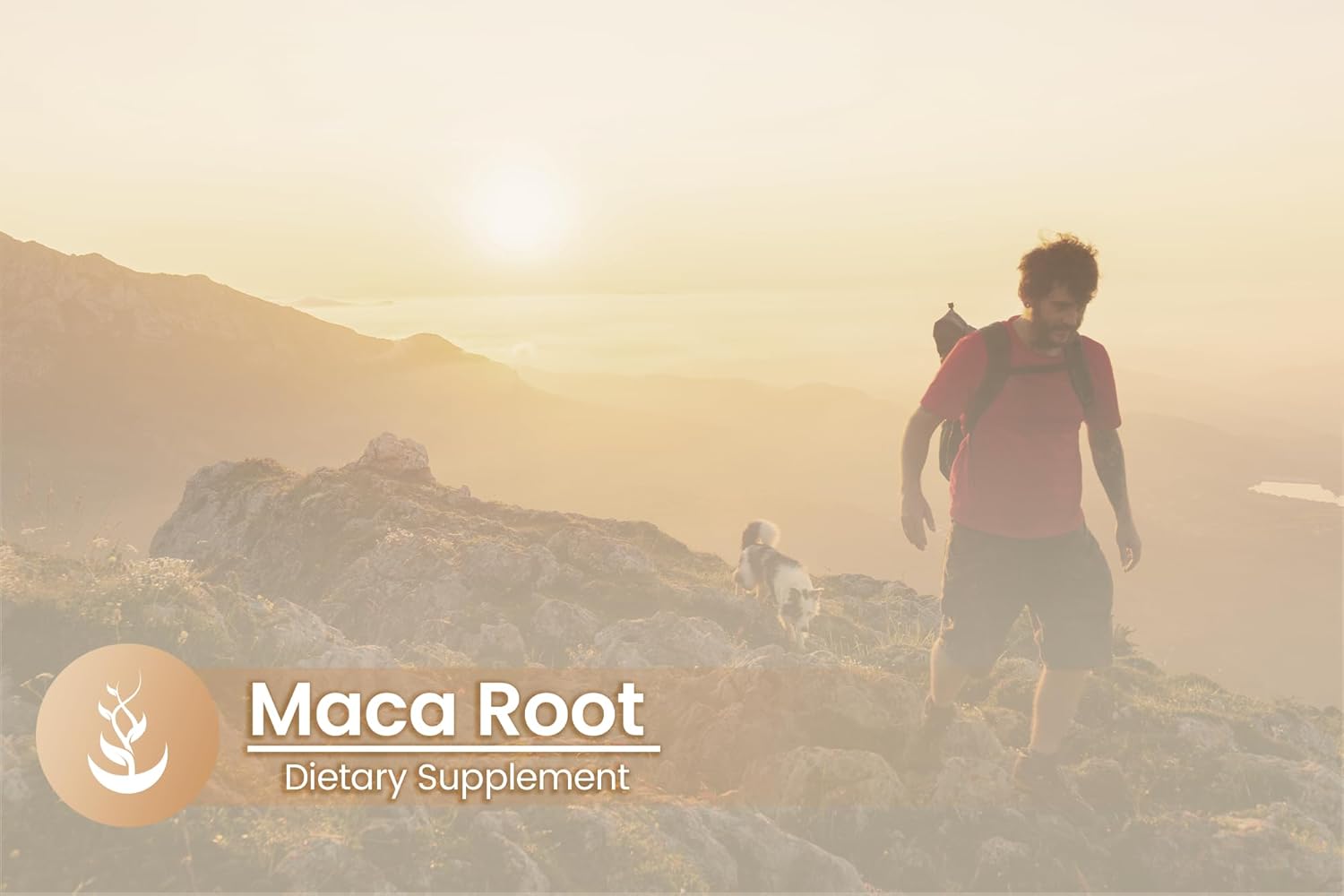 PURE ORIGINAL INGREDIENTS Maca Root, (100 Capsules) Always Pure, No Additives Or Fillers, Lab Verified : Health & Household
