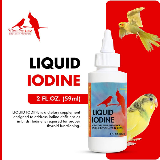 Morning Bird Liquid Iodine For Birds 2 Fl. Oz – Iodine Drops For Feather Growth, Support Molting, Energy & Thyroid – Easy-To-Use Mineral Supplement Formula For All Bird Types