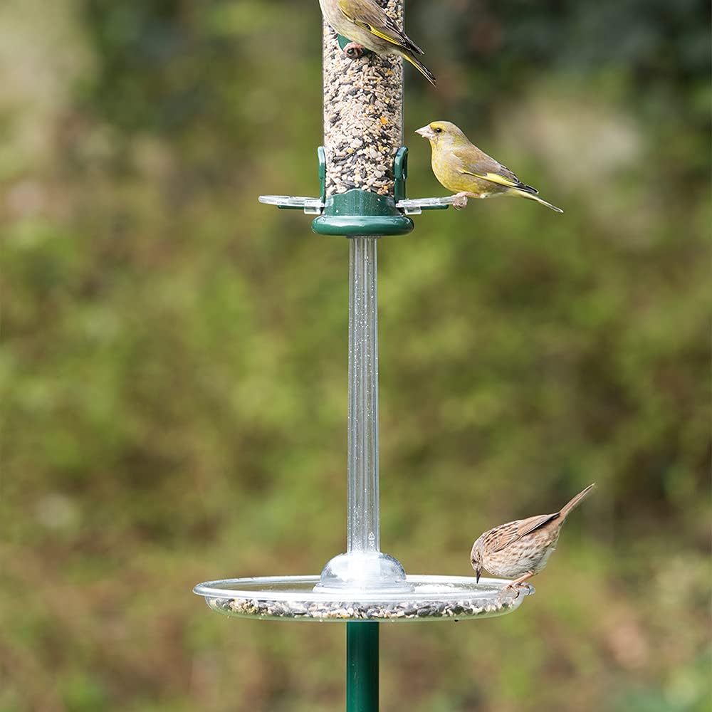 Pigeon Spacer :Garden