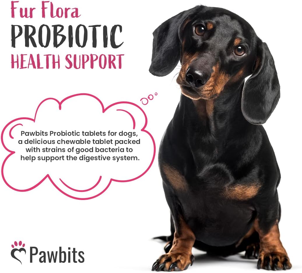 180 Canine Probiotics & Prebiotics Tablets for Dogs – 5 Billion CFU Tablet Chicken Flavour Chewable Dietary Supplements -10 Strain Complex for Digestive Support, Gut Health, Bad Breath & Itchy Skin :Pet Supplies