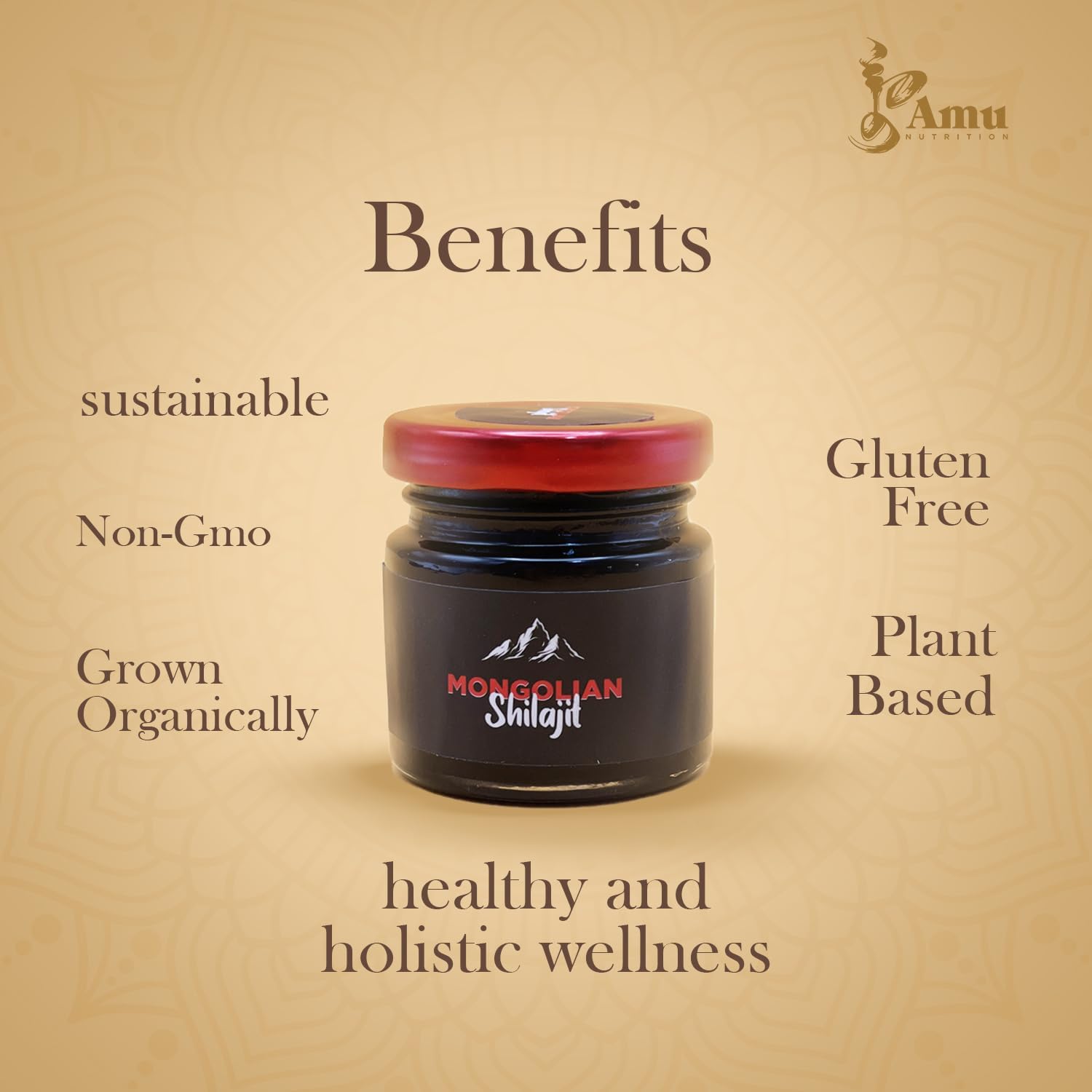Shilajit Pure Himalayan Organic - Harvested From Mongolia - Natural Source Of Fulvic Acid Trace Minerals- 80Gr