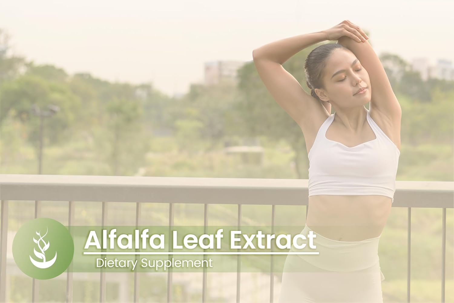 Pure Original Ingredients Alfalfa Leaf, (100 Capsules) Always Pure, No Additives Or Fillers, Lab Verified : Health & Household