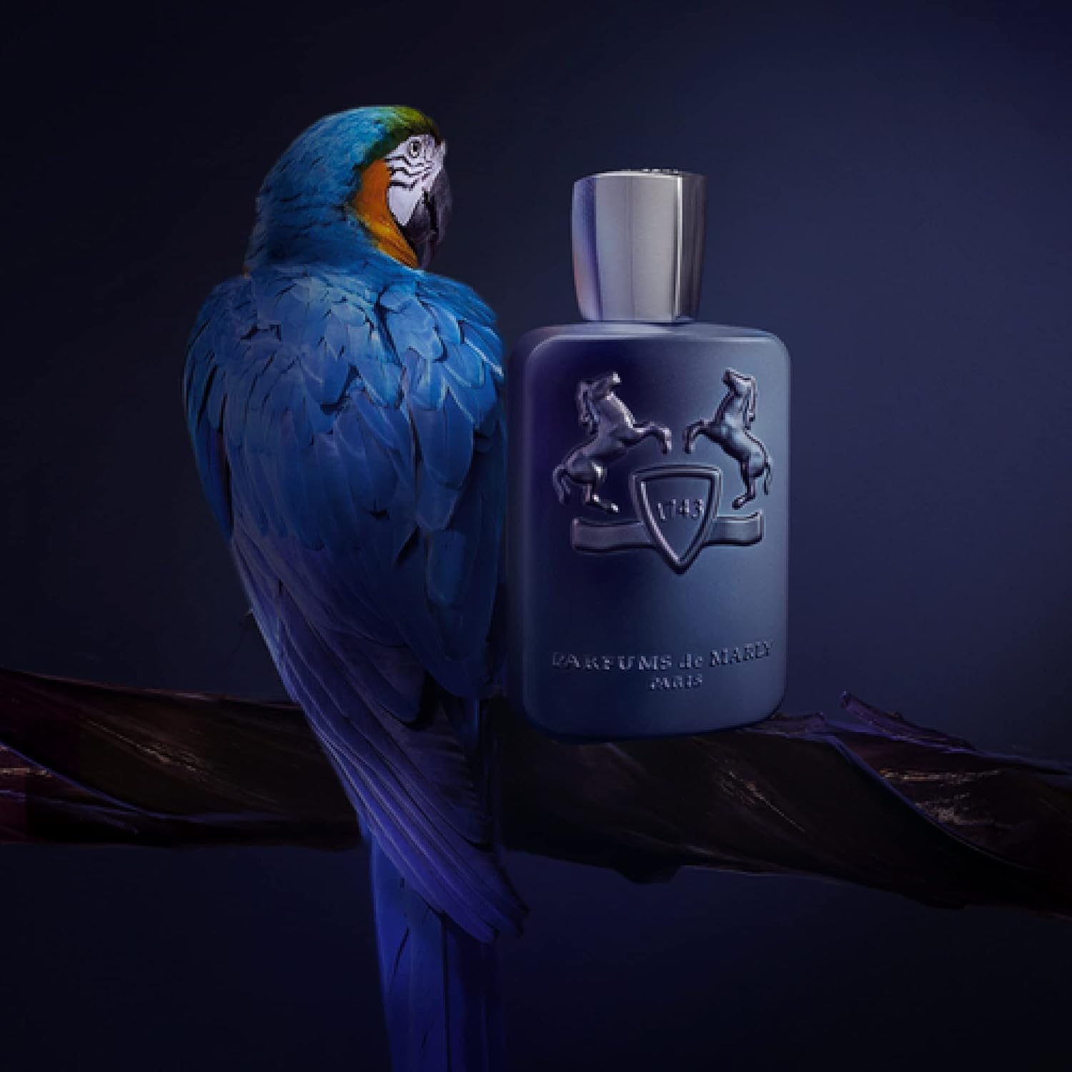 Parfums De Marly Layton Eau De Parfum – Parfum For Men – 4.2 Fl Oz : Beauty & Personal Care