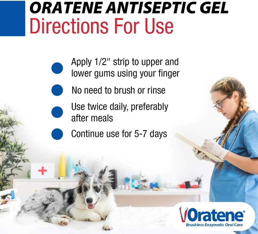Pet King Brands ZYMOX Oratene Brushless Oral Gel for Dogs and Cats, 1oz : Pet Supplies