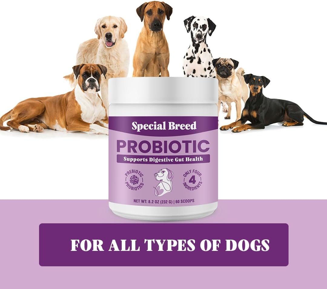 Special Breed Probiotic Powder for Dogs - Probiotics Digestive Supplement with Bone Broth for Your Dog, Supports Healthy Pet Digestion, 8.2 oz : Pet Supplies