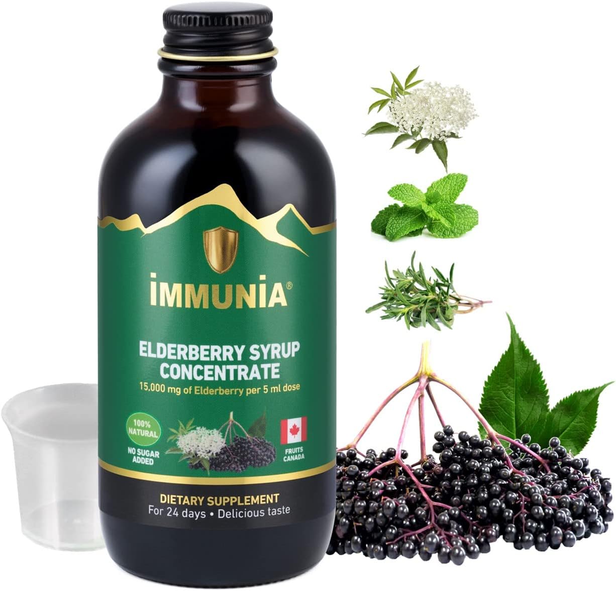 Immunia Elderberry Syrup for Adults Elderberry Concentrate with Elderflower, Thyme and Peppermint. No Sugar Added. Delicious Taste. 24 Days/Bottle. (1-Pack)