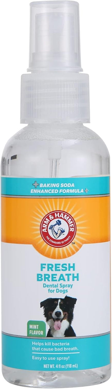 Arm & Hammer Fresh Breath Dental Spray, Mint