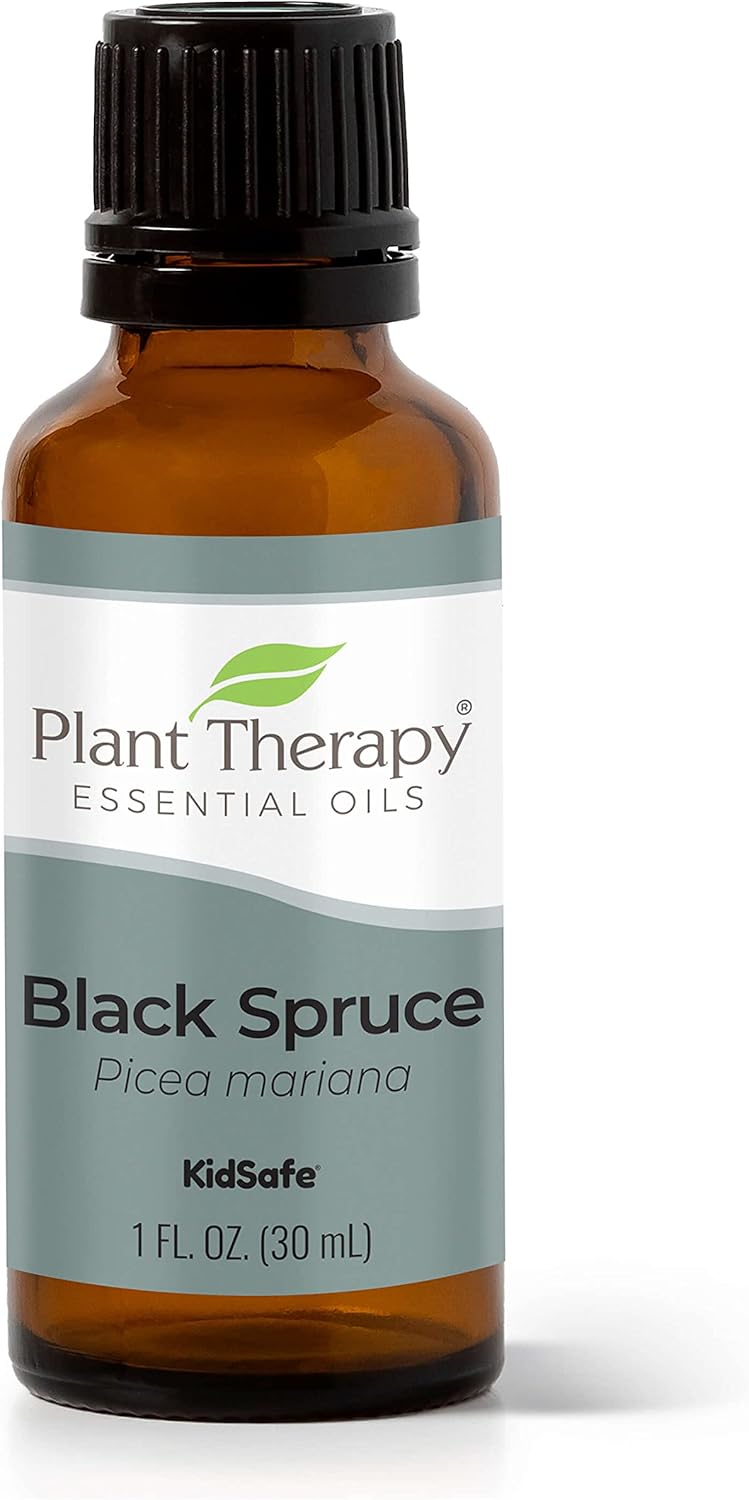 Plant Therapy Black Spruce Essential Oil 30 Ml (1 Oz) 100% Pure, Undiluted, Therapeutic Grade