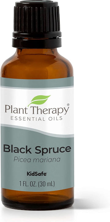 Plant Therapy Black Spruce Essential Oil 30 Ml (1 Oz) 100% Pure, Undiluted, Therapeutic Grade