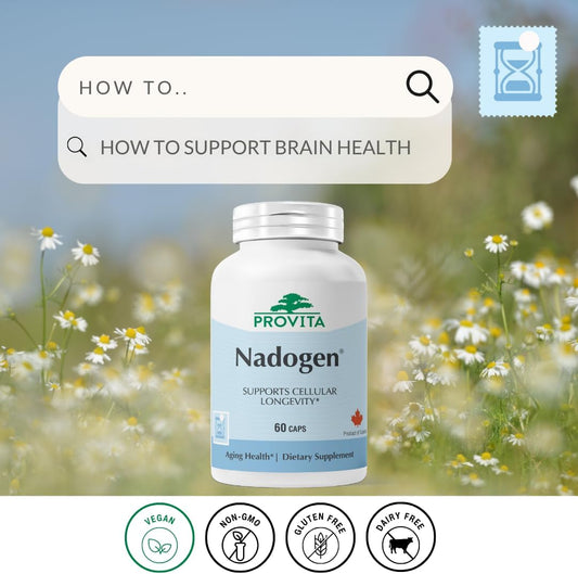 Nadogen® - Boost Nad+ Levels, Support Cellular Energy Metabolism & Combat Aging (60 Capsules)