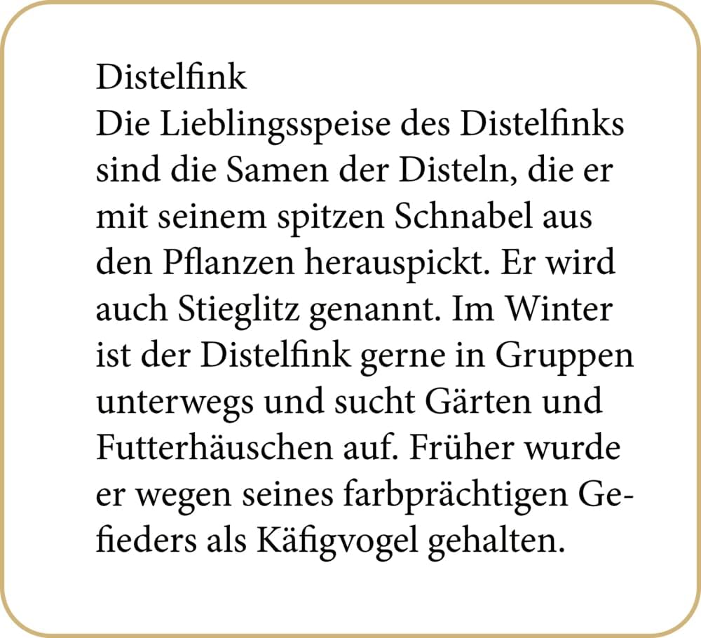 Sound-Adventskalender - 24 Vogelstimmen : Health & Household