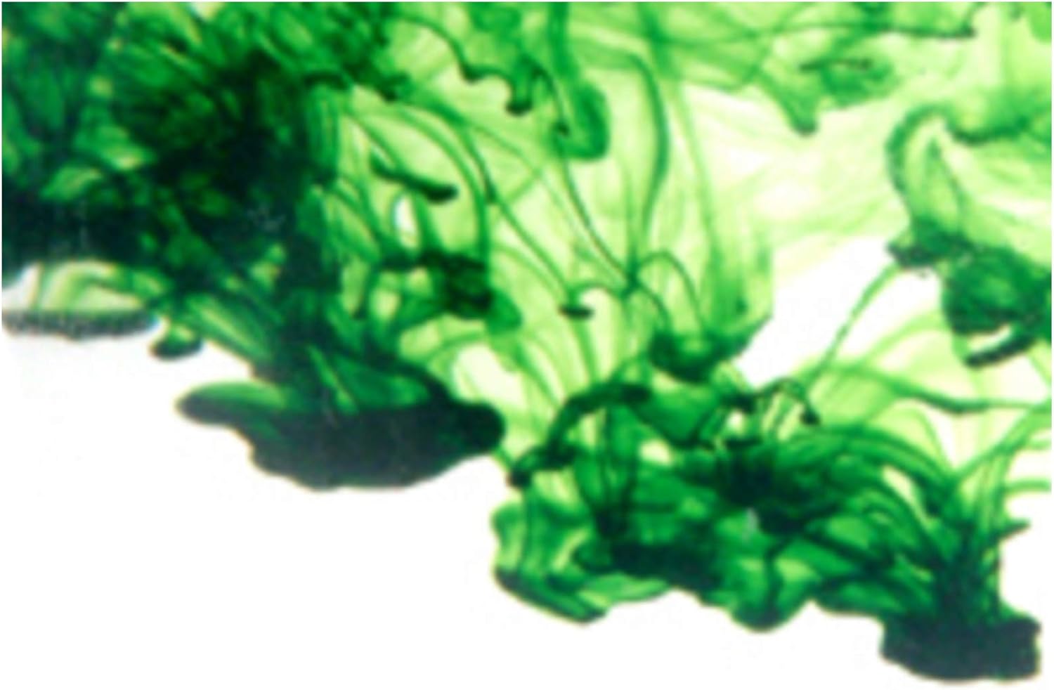 Mystic Moments | Emerald - Highly Concentrated Soap Dye 50Ml | Perfect For Soap Making, Creams And Lotions