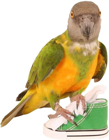 Sneaker Foot Toy For Parrots Single