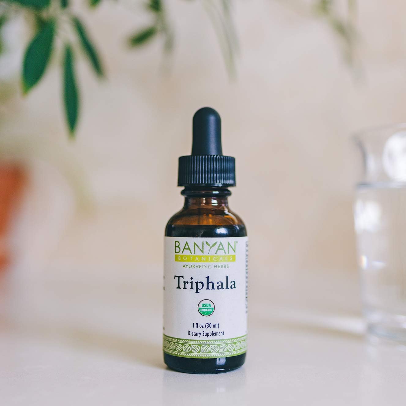 Banyan Botanicals Triphala Liquid Herbal Extract – Organic Triphala Extract With Amla, Haritaki & Bibhitaki – For Daily Detox, Regularity & Rejuvenation* – 1Oz. – Non-Gmo Sustainably Sourced Vegan : Health & Household